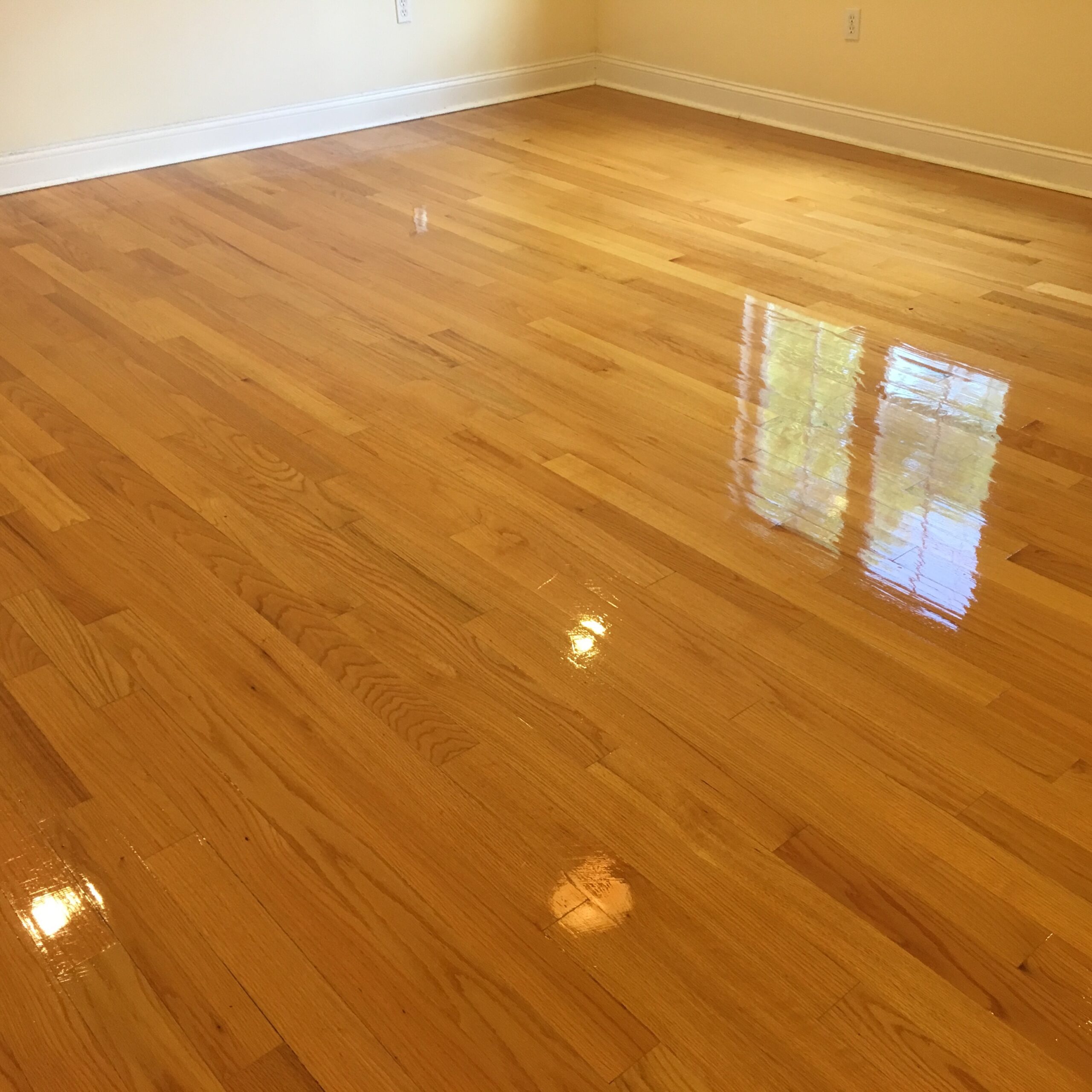 Wood Floor Steam/Refinish